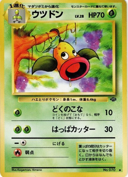 画像1: ウツドン Lv.28 HP70 [013/048] ◆ (1)