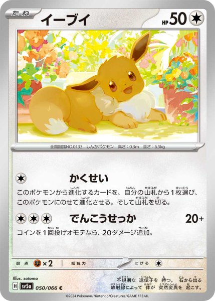 画像1: Eevee H sv5a [C] x100 Bundle (1)