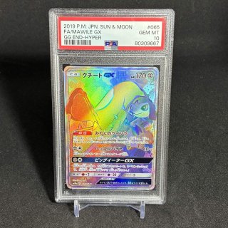 2009 スパイキーイヤーピチュー トレーディングカード 2009 スパイキーイヤーピチュー トレーディングカード